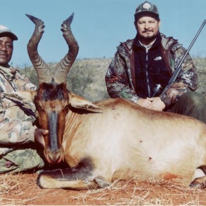 Hunting Red Hartebeest with Wintershoek Johnny Vivier Safaris in SA