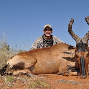 Hunting Red Hartebeest with Wintershoek Johnny Vivier Safaris in SA