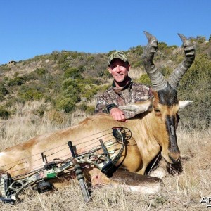 Bowhunting Red Hartebeest with Wintershoek Johnny Vivier Safaris in SA