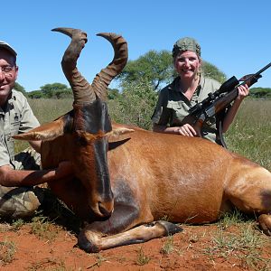 Hunting Red Hartebeest with Wintershoek Johnny Vivier Safaris in SA