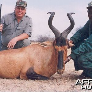 Hunting Red Hartebeest with Wintershoek Johnny Vivier Safaris in SA