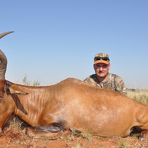 Hunting Red Hartebeest with Wintershoek Johnny Vivier Safaris in SA