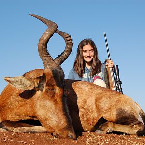 Hunting Red Hartebeest with Wintershoek Johnny Vivier Safaris in SA