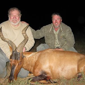 Hunting Red Hartebeest with Wintershoek Johnny Vivier Safaris in SA