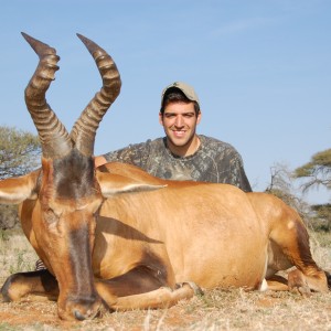 Hunting Red Hartebeest with Wintershoek Johnny Vivier Safaris in SA