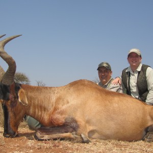 Hunting Red Hartebeest with Wintershoek Johnny Vivier Safaris in SA