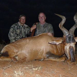 Hunting Red Hartebeest with Wintershoek Johnny Vivier Safaris in SA