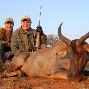 Hunting Tsessebe with Wintershoek Johnny Vivier Safaris in SA