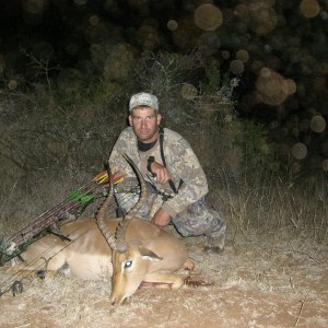 Bowhunting Impala