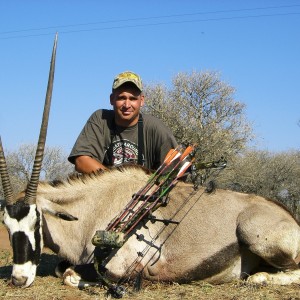 Bowhunting Gemsbok