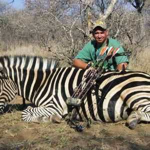 Bowhunting Zebra