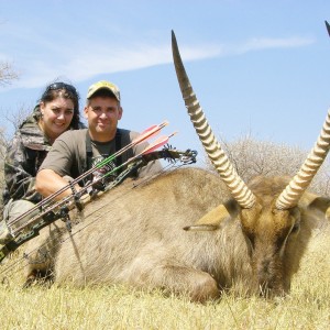 Bowhunting Waterbuck