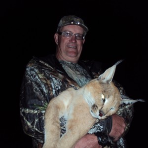 CARACAL WITH CEC SAFARIS NAMIBIA