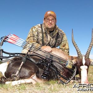 Bowhunting Bontebok in South Africa