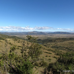 Roydon Private Nature Reserve in Queenstown in the Eastern Cape SA