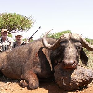 Hunting Buffalo with Wintershoek Johnny Vivier Safaris in SA