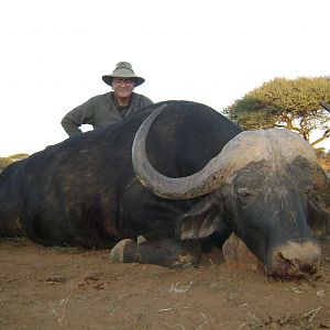 Hunting Buffalo with Wintershoek Johnny Vivier Safaris in SA