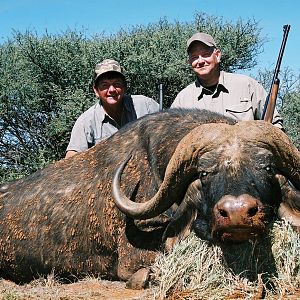 Hunting Buffalo with Wintershoek Johnny Vivier Safaris in SA