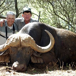 Hunting Buffalo with Wintershoek Johnny Vivier Safaris in SA