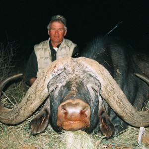 Hunting Buffalo with Wintershoek Johnny Vivier Safaris in SA