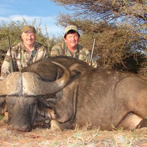 Hunting Buffalo with Wintershoek Johnny Vivier Safaris in SA