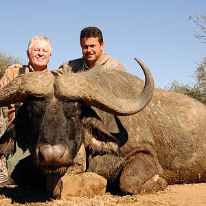 Hunting Buffalo with Wintershoek Johnny Vivier Safaris in SA