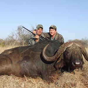 Hunting Buffalo with Wintershoek Johnny Vivier Safaris in SA