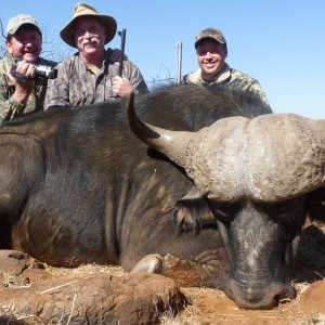 Hunting Buffalo with Wintershoek Johnny Vivier Safaris in SA