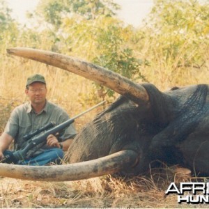 Hunting Elephant with Wintershoek Johnny Vivier Safaris in SA