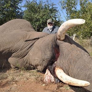 Hunting Elephant with Wintershoek Johnny Vivier Safaris in SA