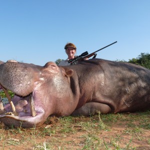 Hunting Hippo with Wintershoek Johnny Vivier Safaris in SA