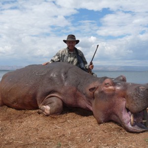 Hunting Hippo with Wintershoek Johnny Vivier Safaris in SA