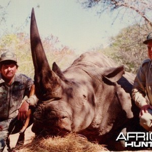 Hunting White Rhino with Wintershoek Johnny Vivier Safaris in SA