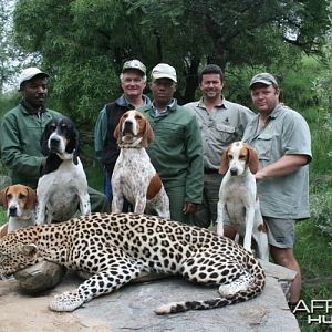 Hunting Leopard with Wintershoek Johnny Vivier Safaris in SA