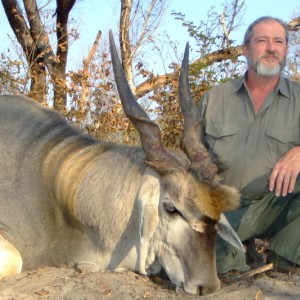 39" Livingstone's from Ngamo Sikumi in Zimbabwe