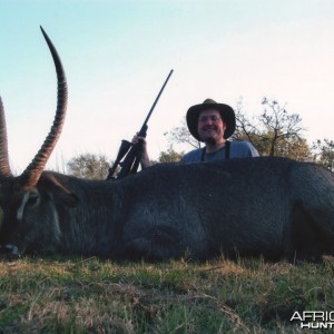 Waterbuck (28 3/4 inches long) Mhimbi Safari