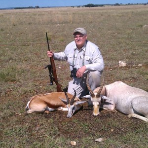 Springbuck and White Blesbuck