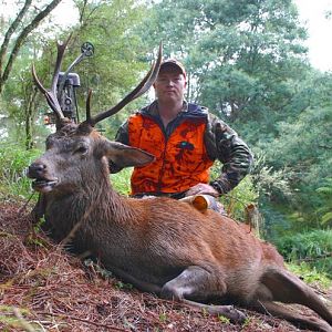 Bowhunting Deer in New Zealand