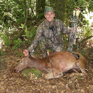 Bowhunting Deer in New Zealand