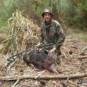 Bowhunting Pigs