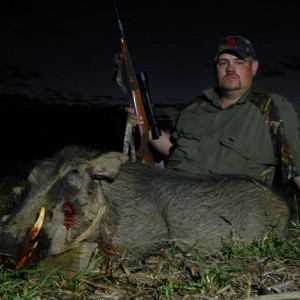 Hunting Warthog South Africa