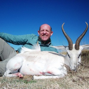 White Springbok