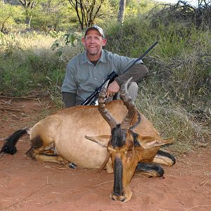 Hartebeest