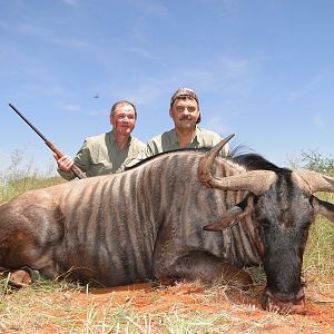 Hunting Blue Wildebeest with Wintershoek Johnny Vivier Safaris in SA