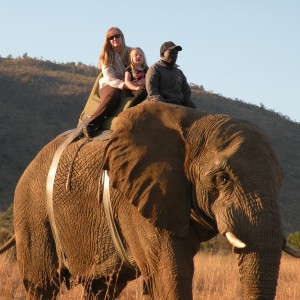 2010 RSA Hunter Elephant Ride