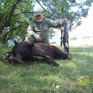 colorado bear hunt by manny fajin