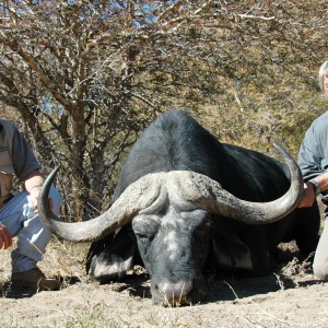 Buffalo Hunt