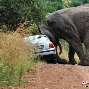 Road rage, it affects us all!