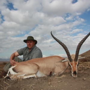 Roberts Gazelle