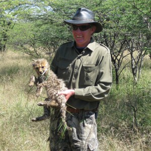 Cheetah Cub Namibia